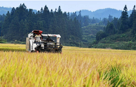 中国在全球农业科学表现方面排名第二
