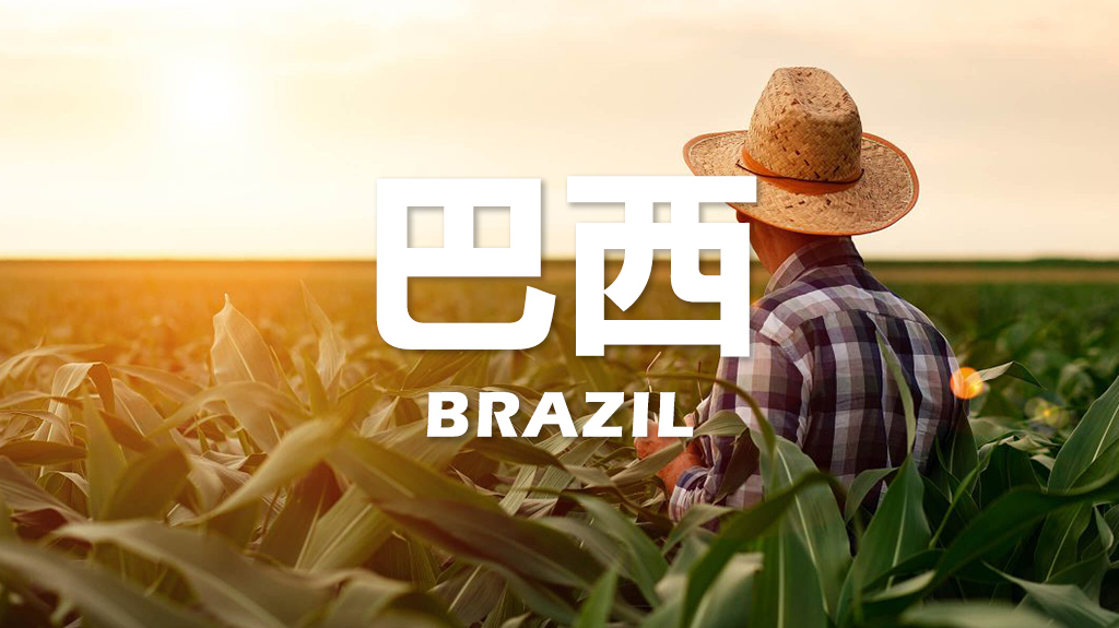 巴西——全球最大化肥进口国