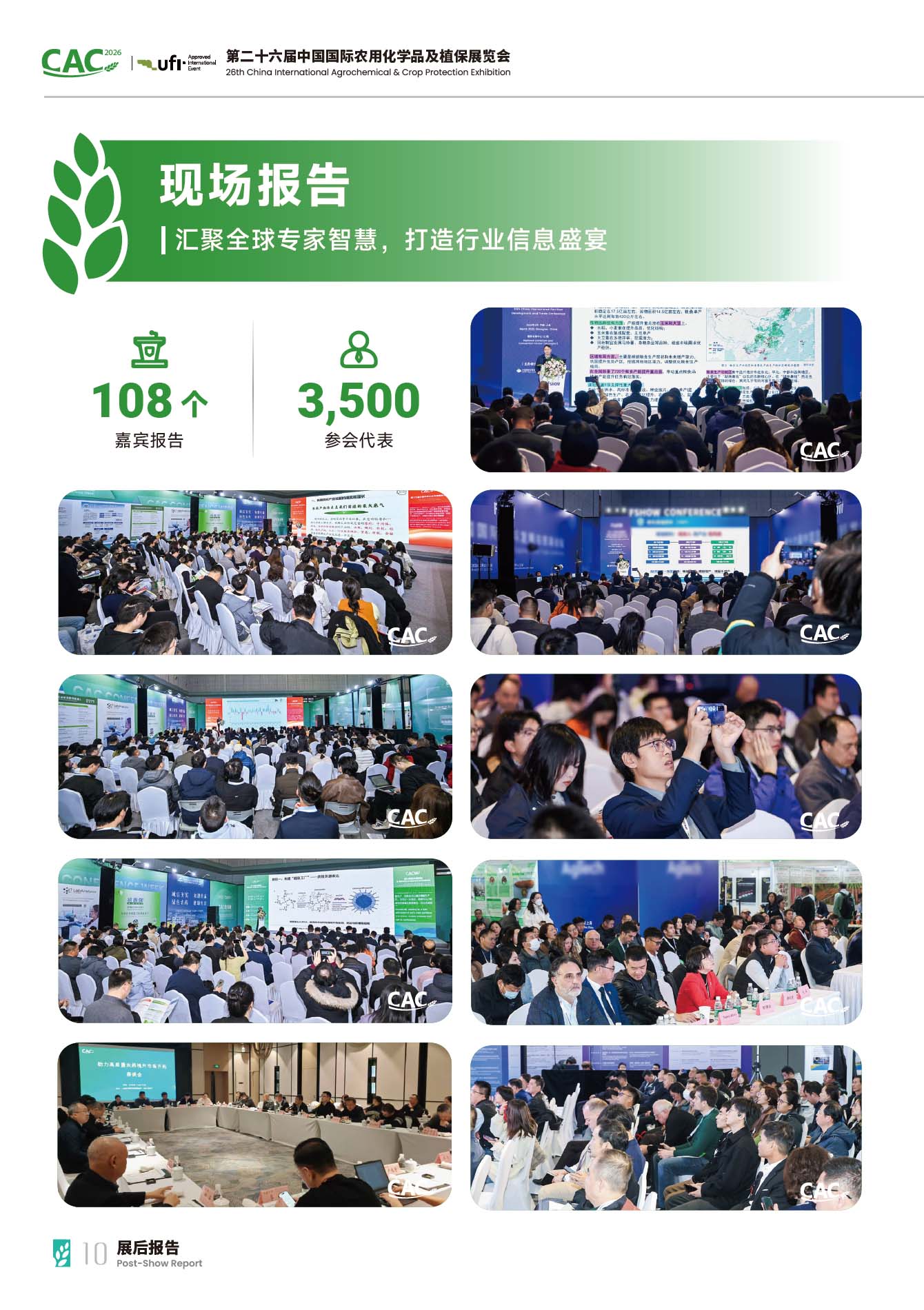 中文 10.jpg